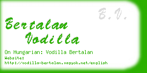 bertalan vodilla business card